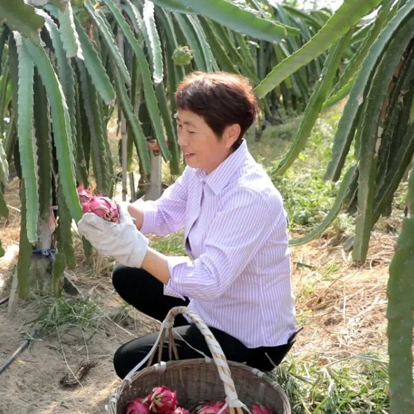 萧山区首届“最美残疾人”孙得意